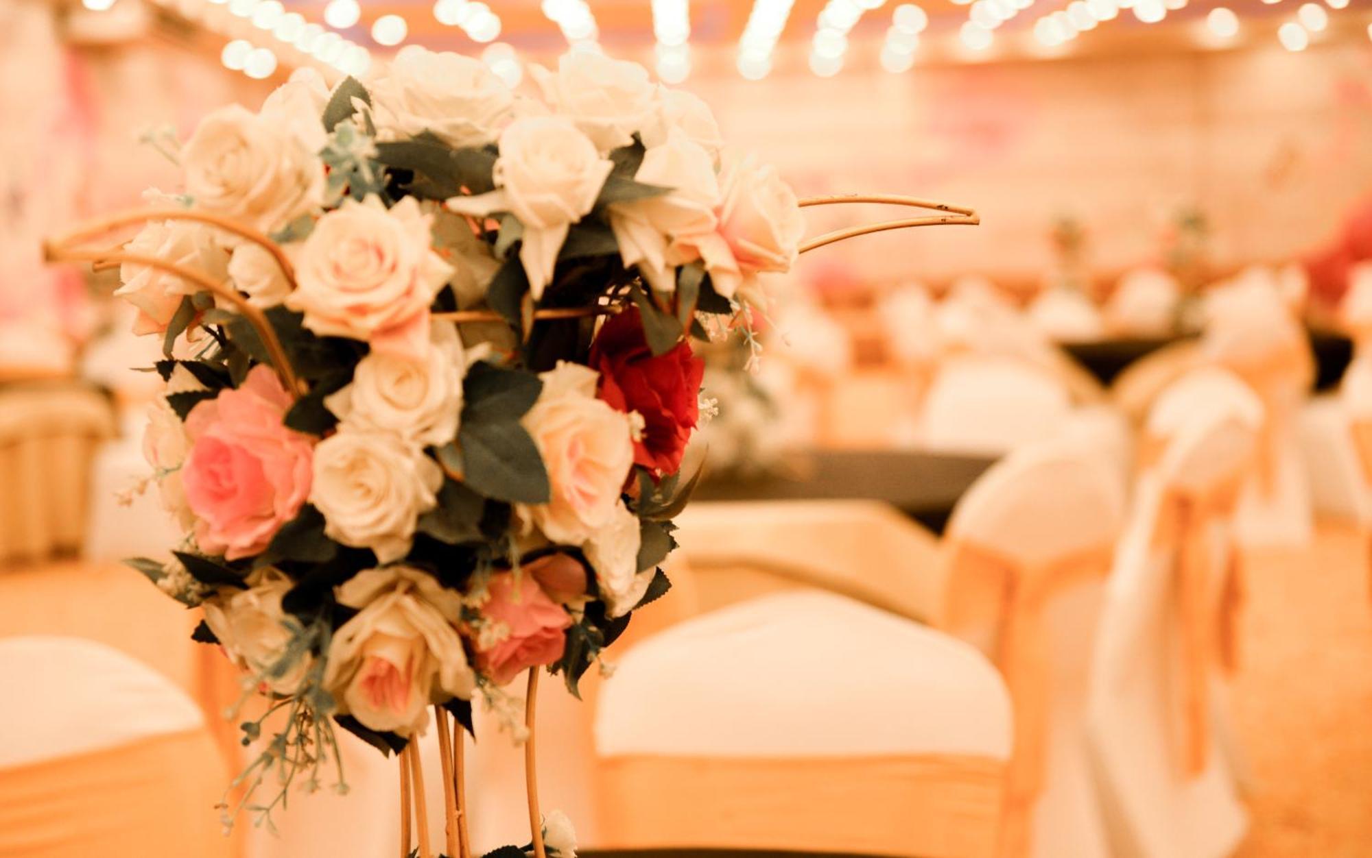 דמבולה Hotel Golden Ray מראה חיצוני תמונה